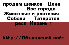продам щенков › Цена ­ 15 000 - Все города Животные и растения » Собаки   . Татарстан респ.,Казань г.